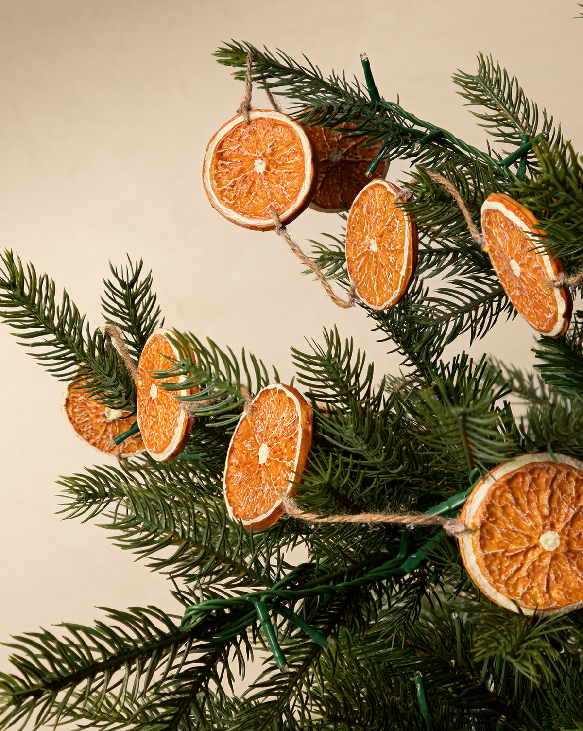 A close-up of pine branches adorned with the 6' Faux Dried Oranges Garland on twine, adding rustic, vintage charm to cozy holiday décor, by McGee & Co.