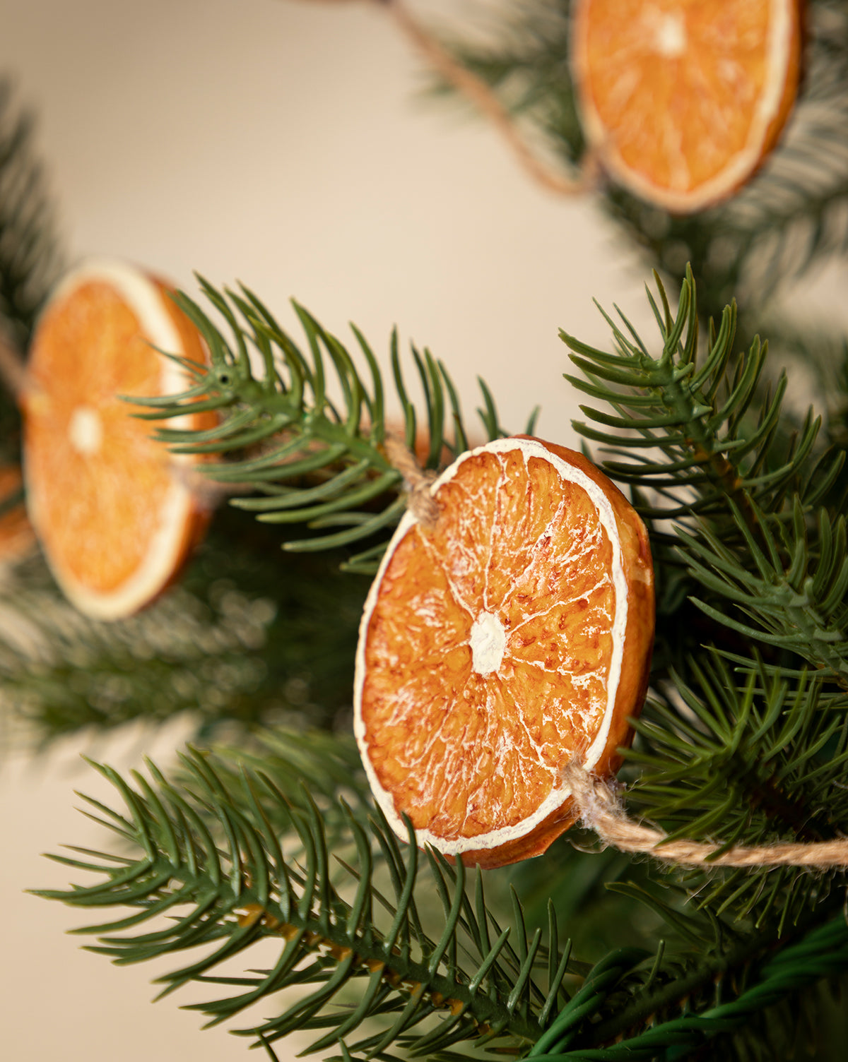 Close-up of the 6' Faux Dried Oranges Garland hanging on green pine branches with twine, adding a festive, vintage touch to your seasonal décor, by McGee & Co.