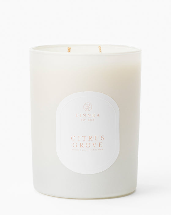 Citrus Grove 2-Wick Candle
