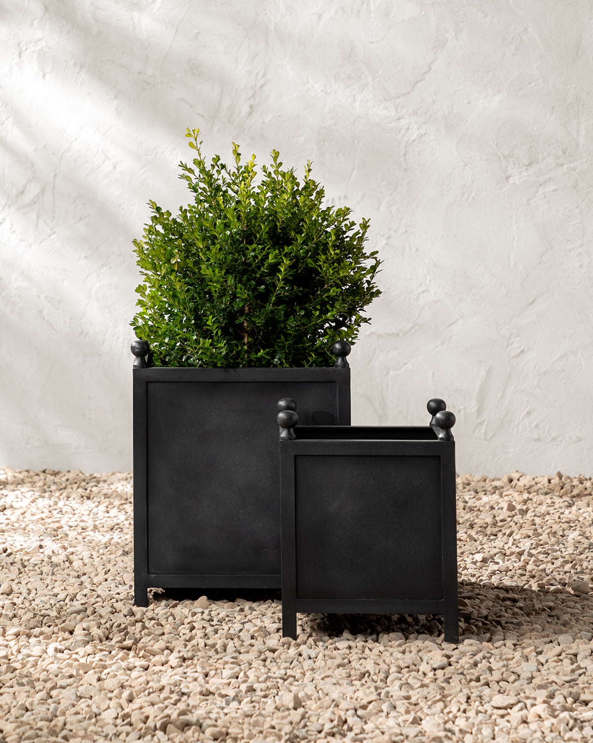 Two black Clariance Planter squares with rounded finials rest on gravel. The larger metal planter holds a green shrub; the smaller is empty. A textured white wall completes the stylish outdoor scene.