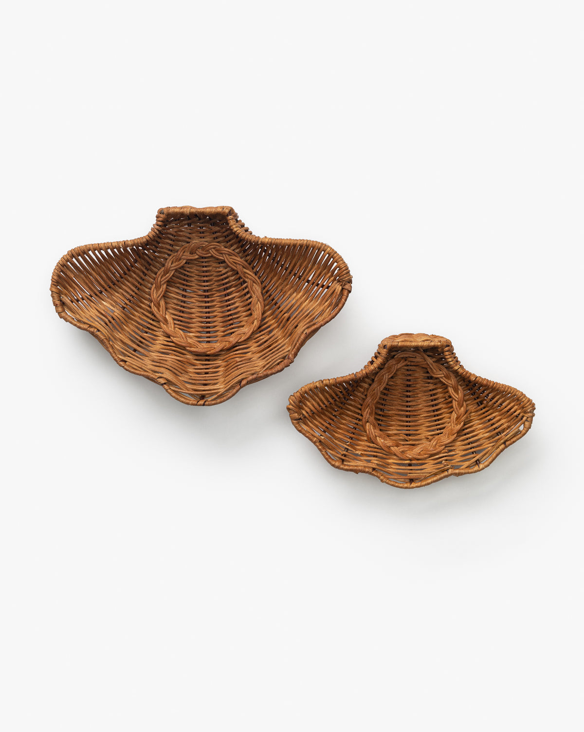 Concha Dish