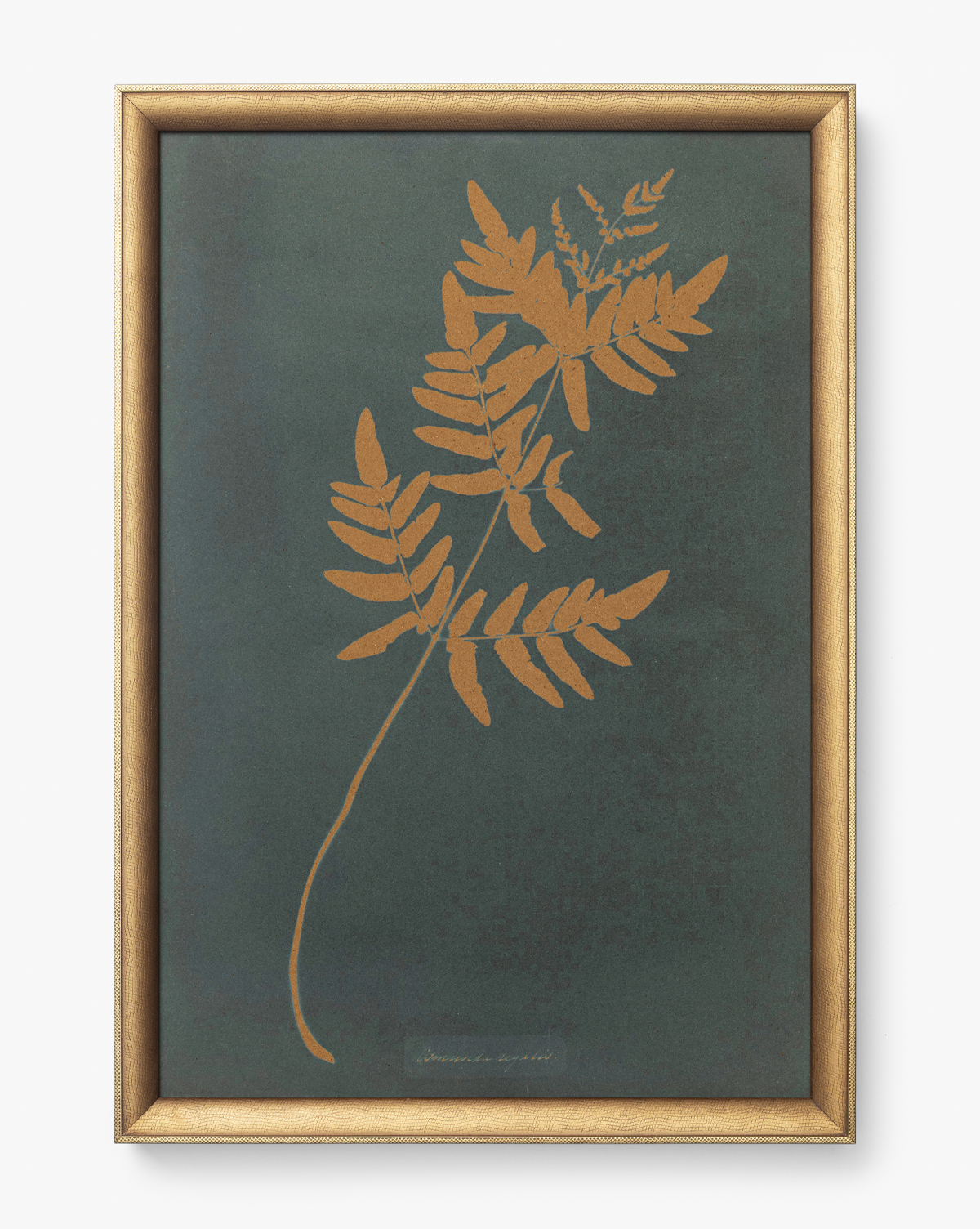 Copper Botanical 1