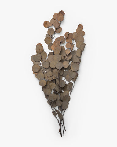 Dried Florals