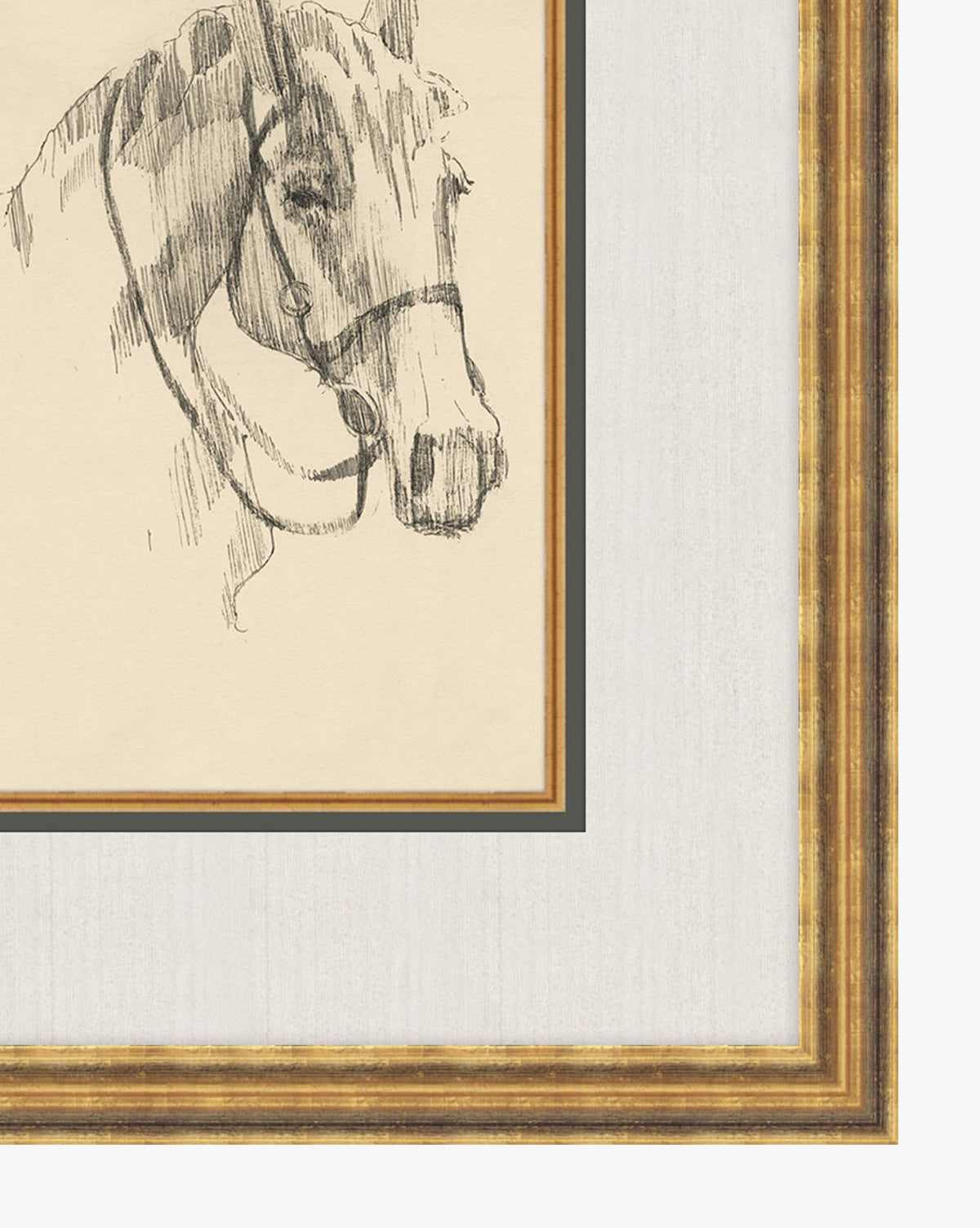 Equine Lines 3
