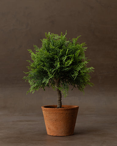 Gifts Under $75