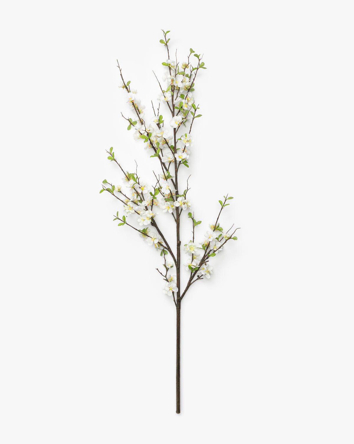 Faux Quince Blossom Branch