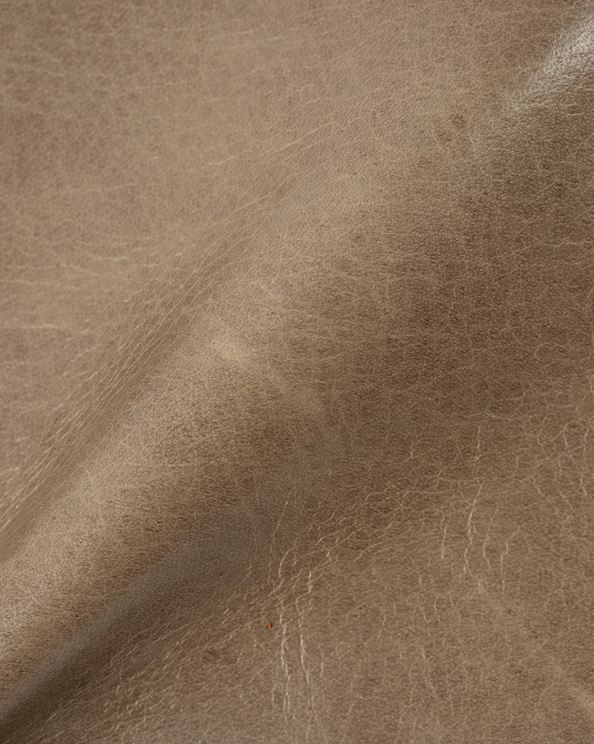 Leather Upholstery Swatch