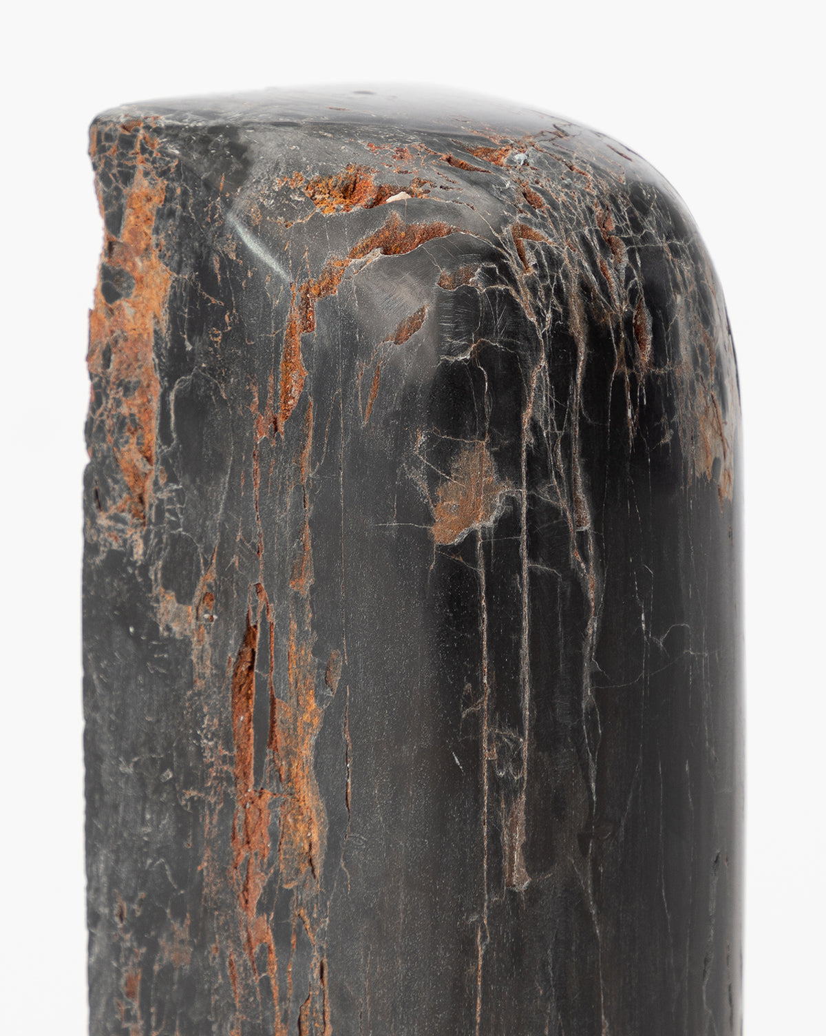 A close-up of Petrified Wood Bookends (Set of 2) shows polished black surfaces with reddish-brown patches and streaks, rounded tops, and textured accents—an elegant organic design set against a plain white background.