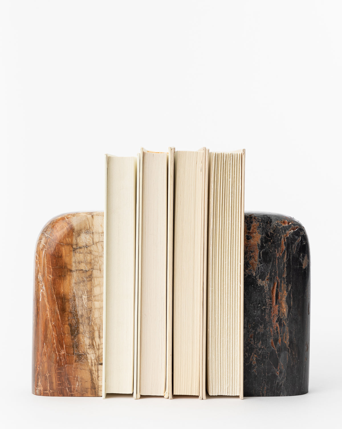 Five books stand between two Petrified Wood Bookends (Set of 2), one brown and one black, crafted from polished stone. The striking bookends contrast with the plain white background, with all book spines facing away.