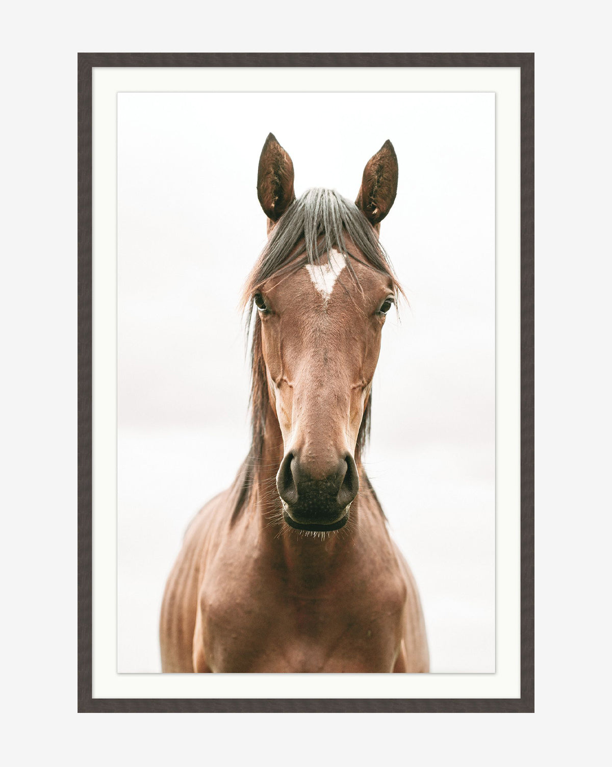Presence by Stokley Berg: A museum-quality photo of a brown horse with a white diamond on its forehead, set against a soft, blurred background and elegantly presented in a black wood frame, by McGee & Co.