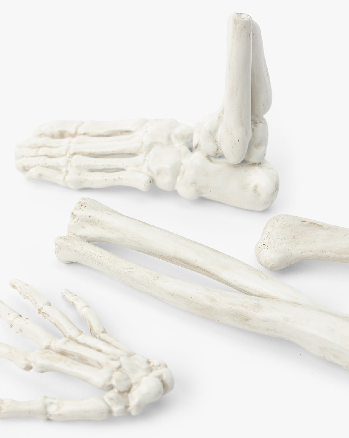 Resin Skeleton Bones in Drawstring Bag  (Set of 4)