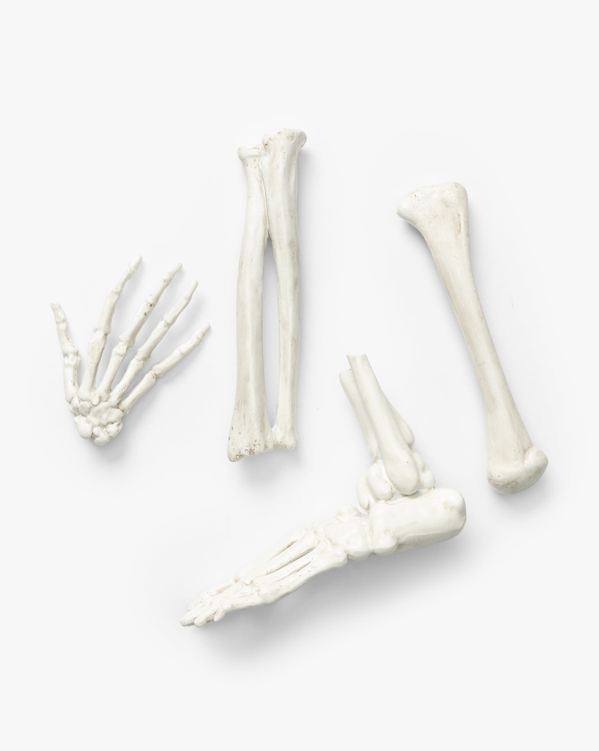 The Resin Skeleton Bones in Drawstring Bag (Set of 4) features four white resin bones—paw with toes and three long limb bones—arranged on a plain background, perfect as a spooky Halloween display centerpiece by McGee & Co.