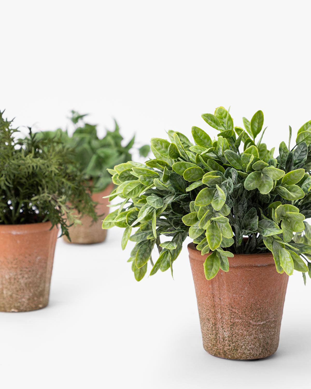 Soft Potted Herbs (Set of 3)