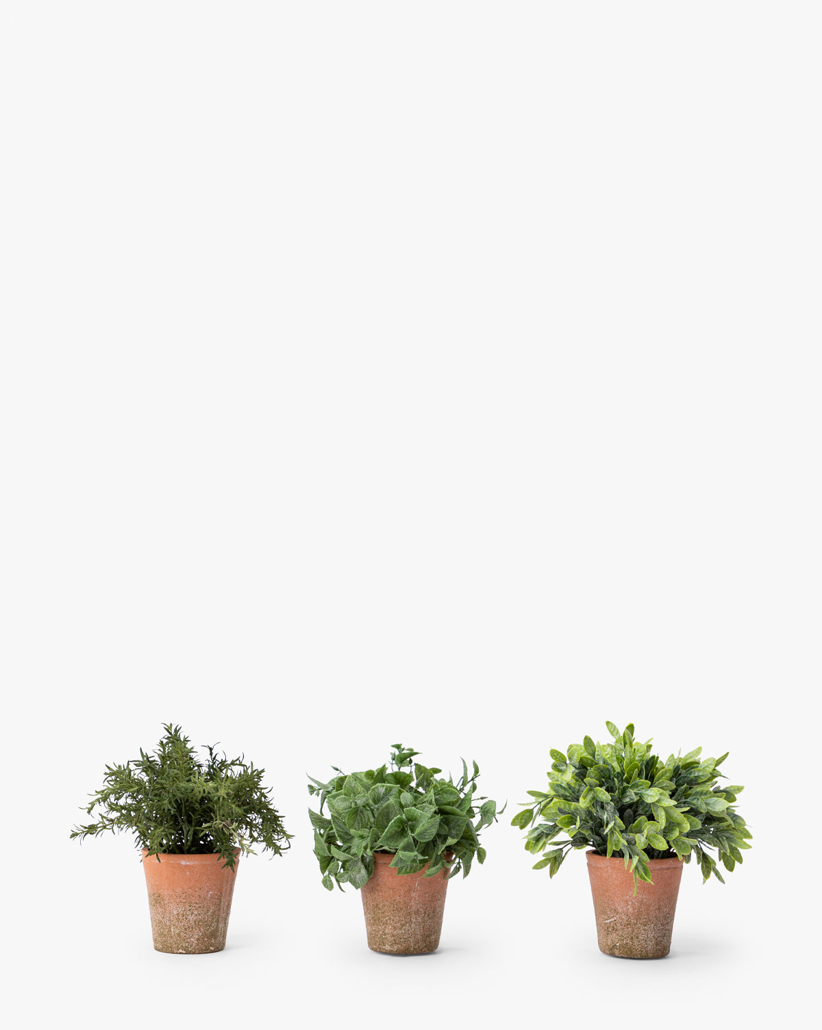 Soft Potted Herbs (Set of 3)