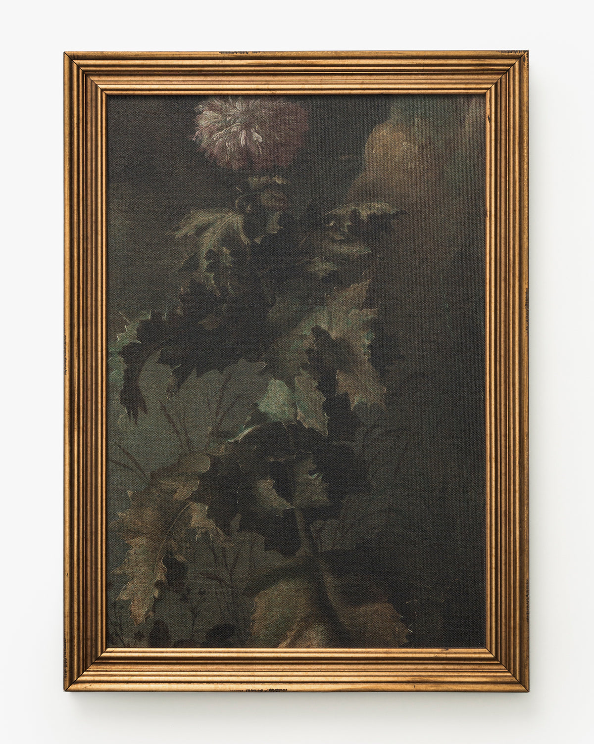 Thistle Down is a framed painting of a tall thistle with dark green leaves and a pale purple bloom, set against a shadowy background. This elegant wall art comes in an antique gold frame with ridged detailing for timeless charm, by McGee & Co.