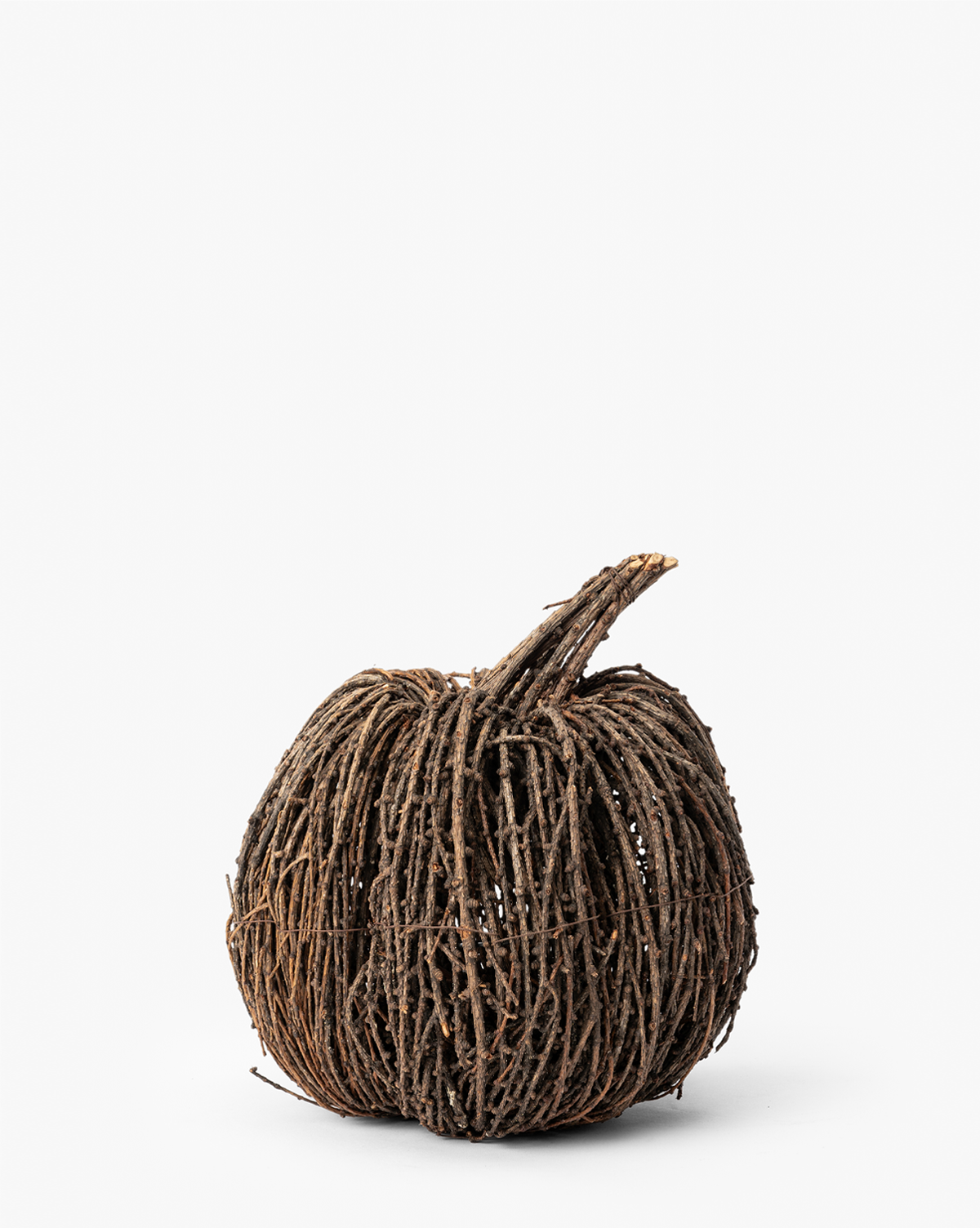 Vine Pumpkin