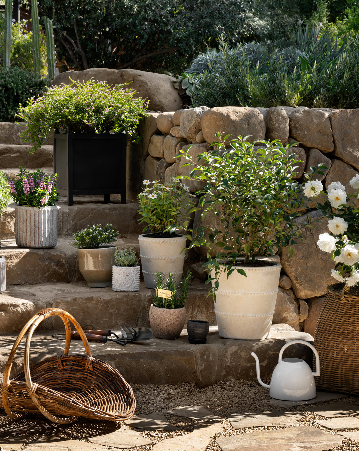 Potted plants and flowers on stone steps by a rock wall create garden style; the Clariance Planter, a wicker basket, and a white watering can rest in the sunlight nearby.