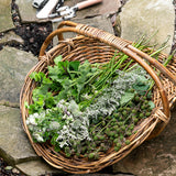 Rattan Gardening Tray