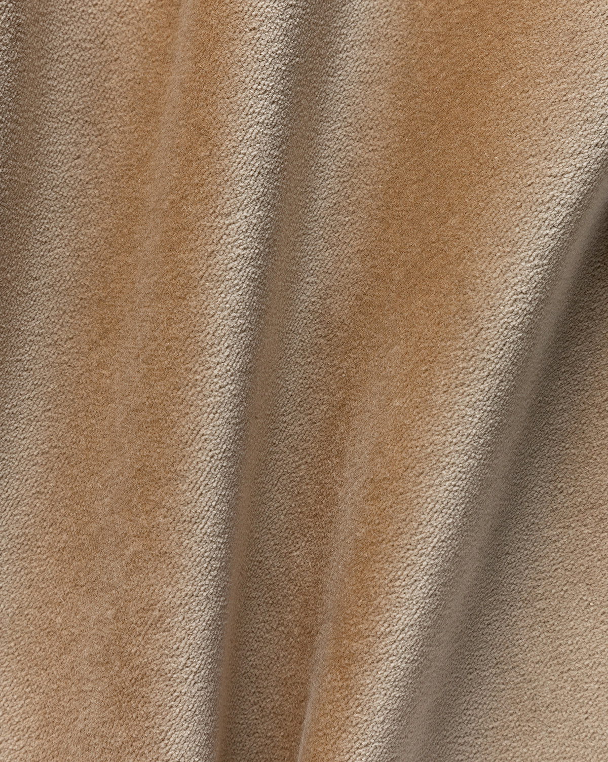 Velvet Upholstery Swatch