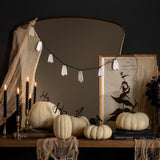 Ivory Pumpkin Collection