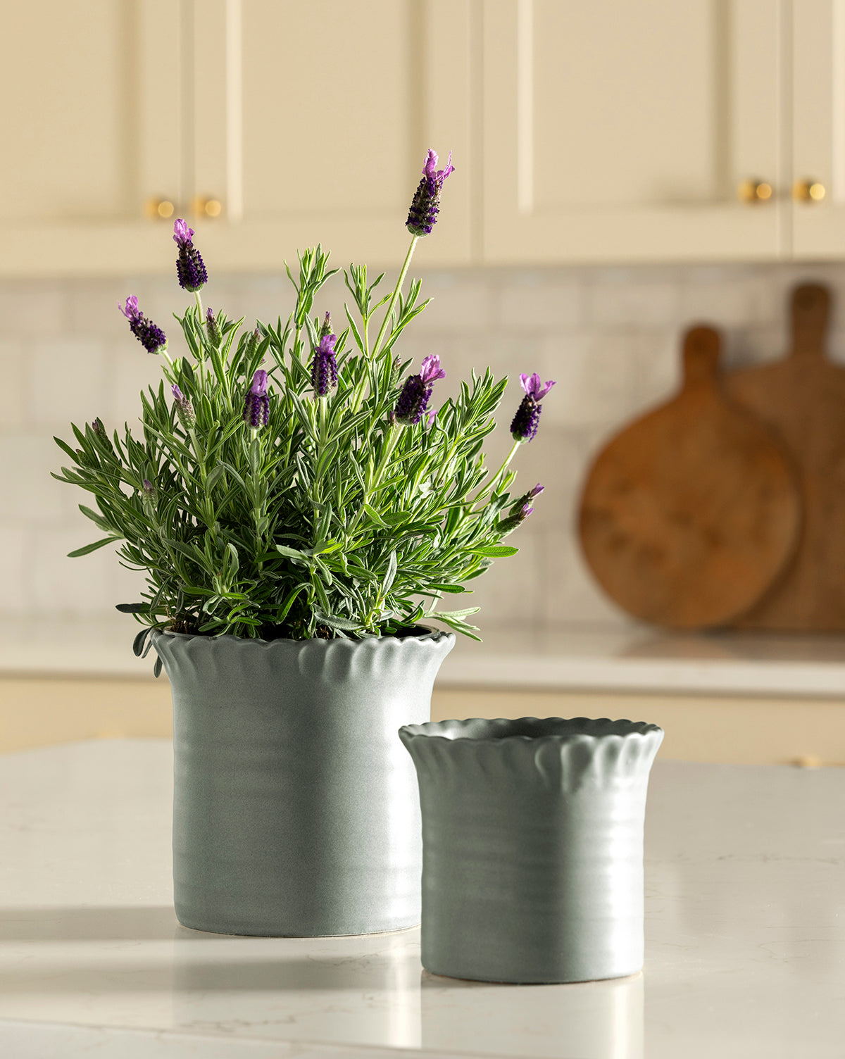 Blythe Pot