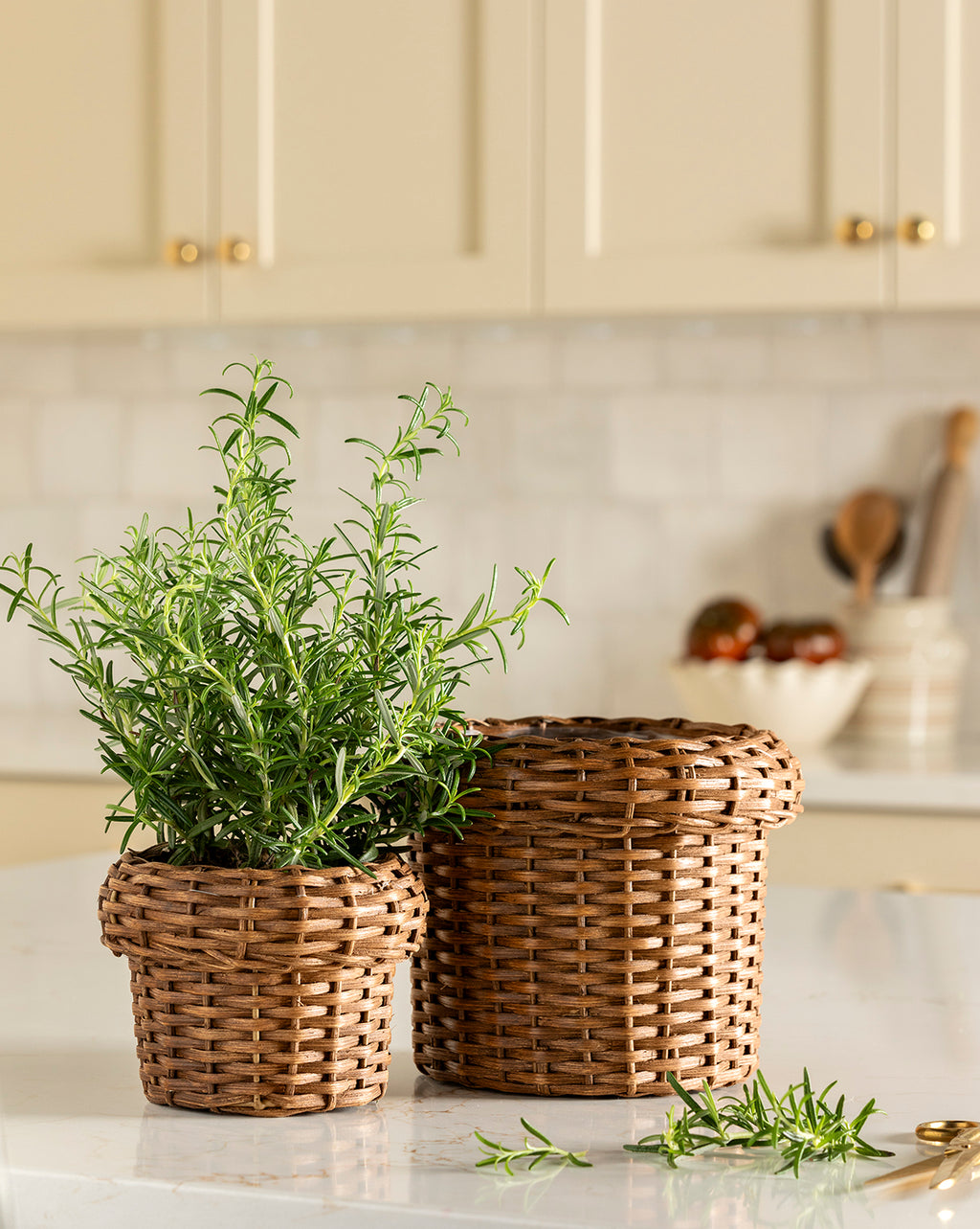 large basket for plant pot Huger Woven Planter