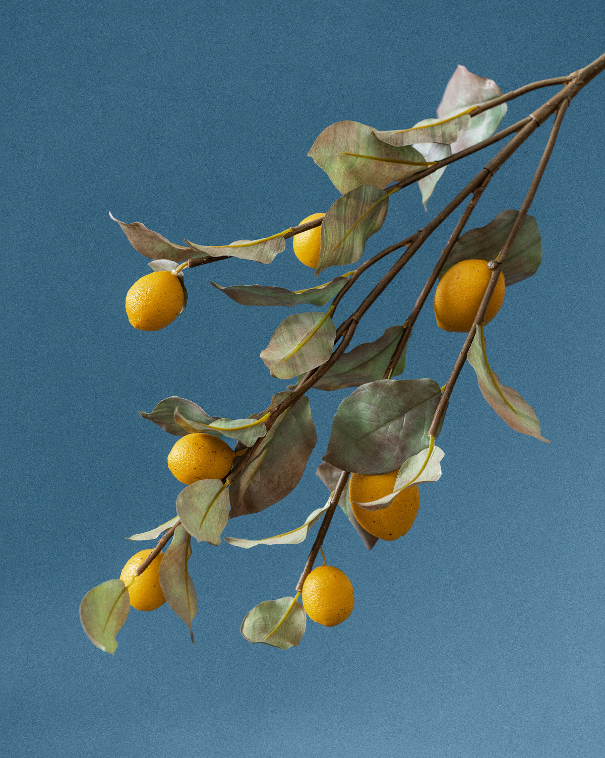 40" Lemon Branch