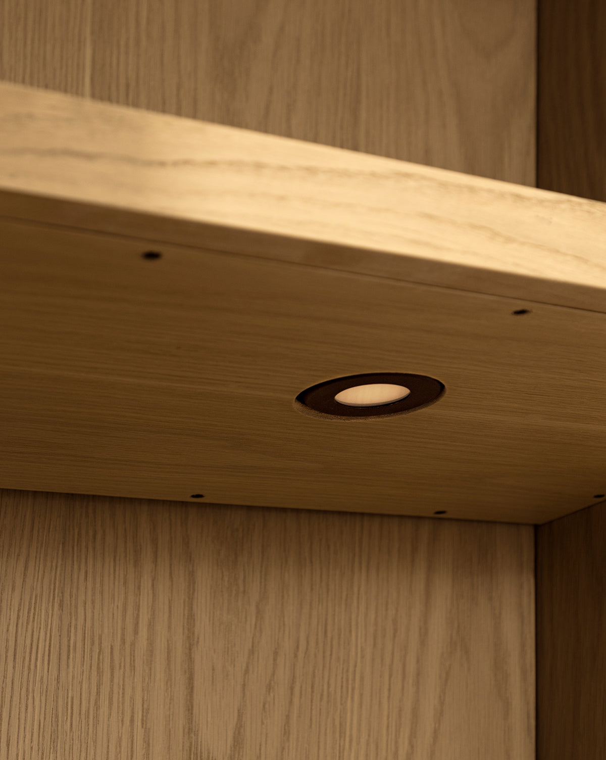 Close-up of the Adler Oak Cabinet shelf with a built-in round recessed light, mounted against a light wood-paneled wall—ideal for enhancing style and storage, by McGee & Co.