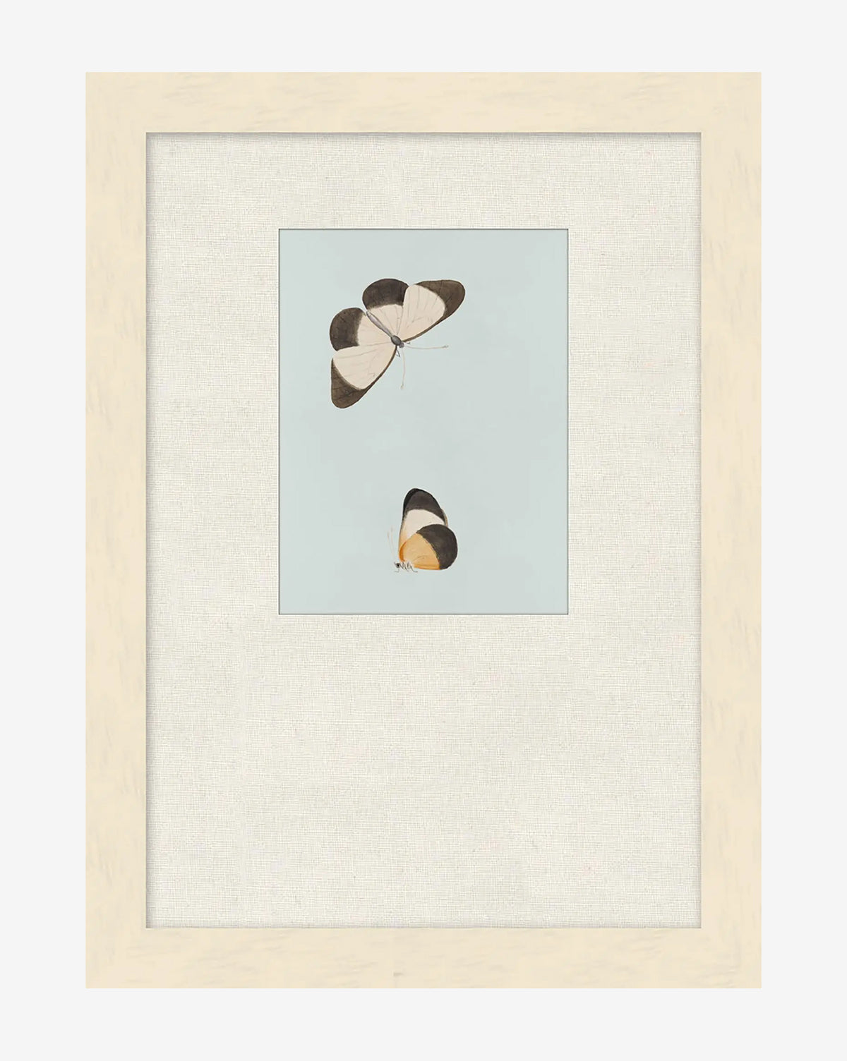 Butterflies Study I is a framed giclée print with two black, white, and yellow butterflies on a light blue background, set in a wide white mat and light wood frame—a beautiful piece of nature-inspired wall art, by McGee & Co.