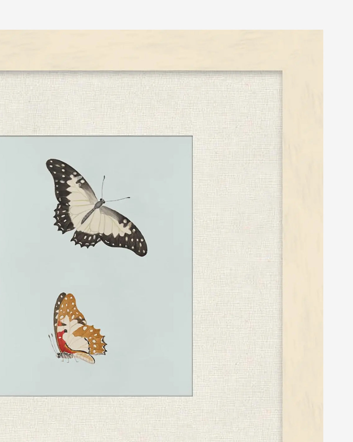 Butterflies Study II: Framed wall art with a giclée print featuring two butterflies on a light blue background—one black and white above, one orange and brown with red accents below, by McGee & Co.