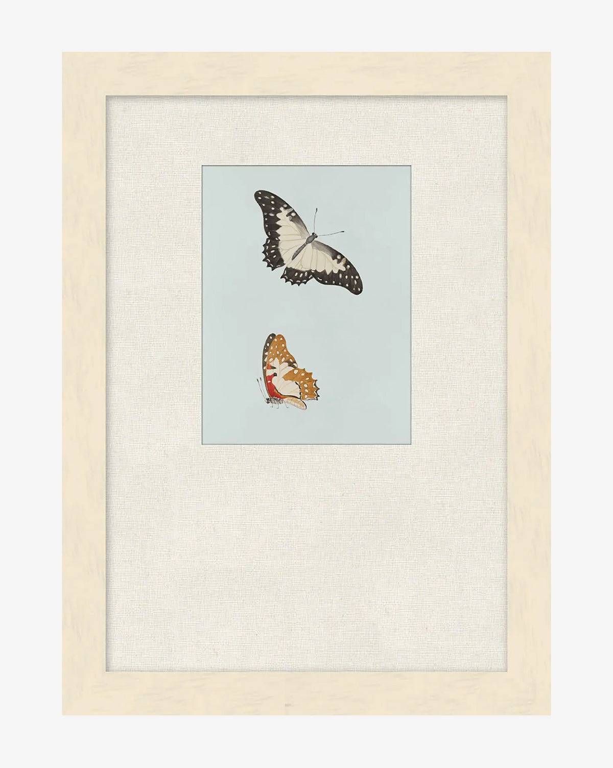 Butterflies Study II is a framed illustration of two butterflies—one black and white, one orange and black—on a light blue background. Ideal as butterfly wall art or a vibrant giclée print to enhance your space, by McGee & Co.