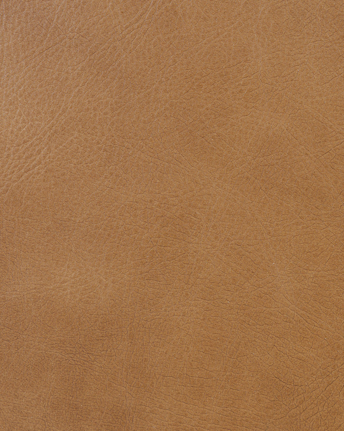 Carolina Leather Upholstered Bed