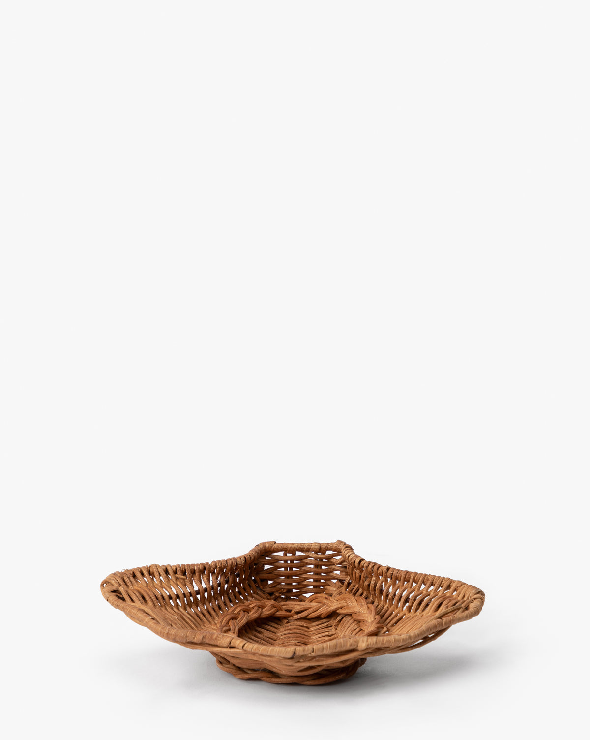 6" Concha Dish
