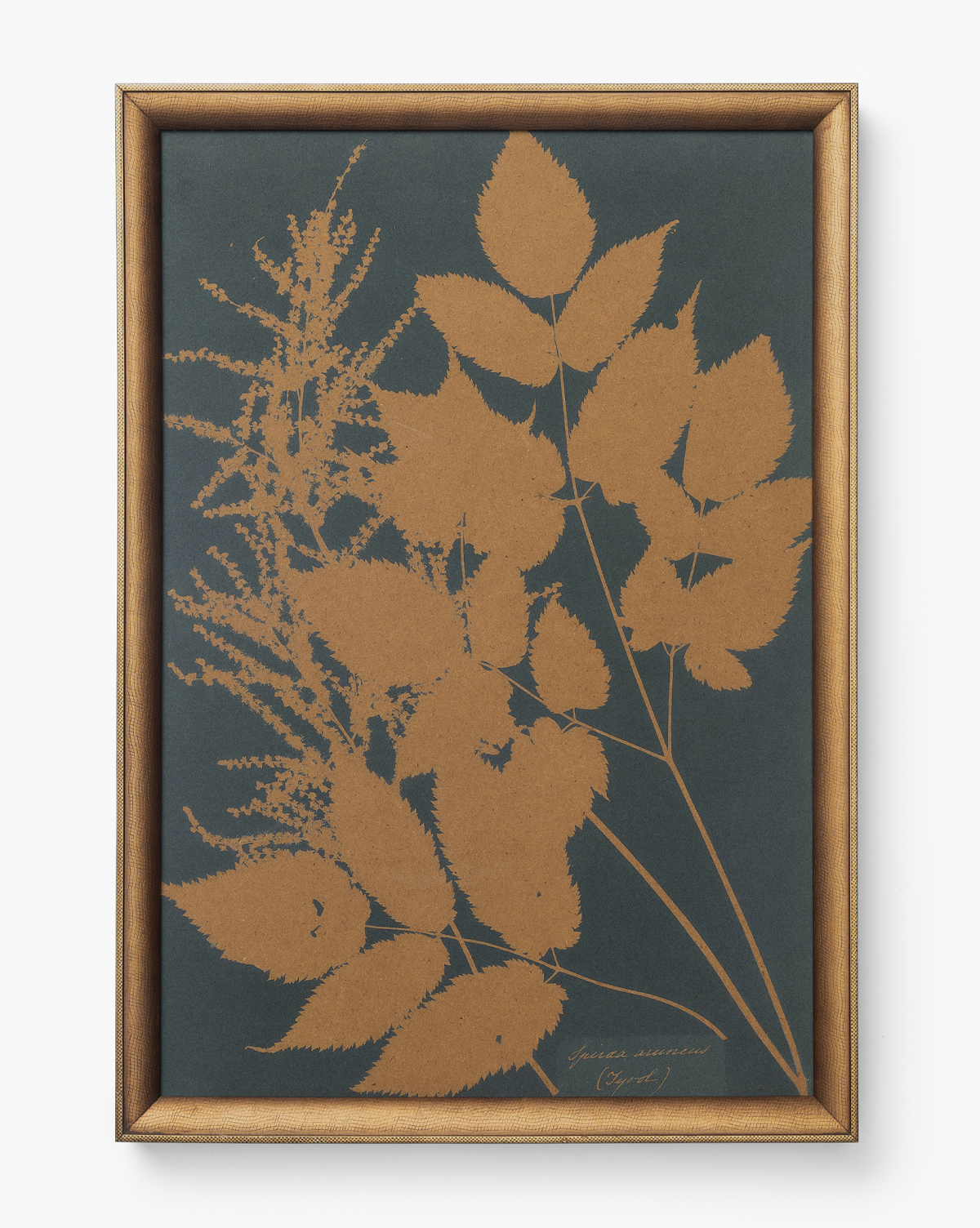 Copper Botanical 4