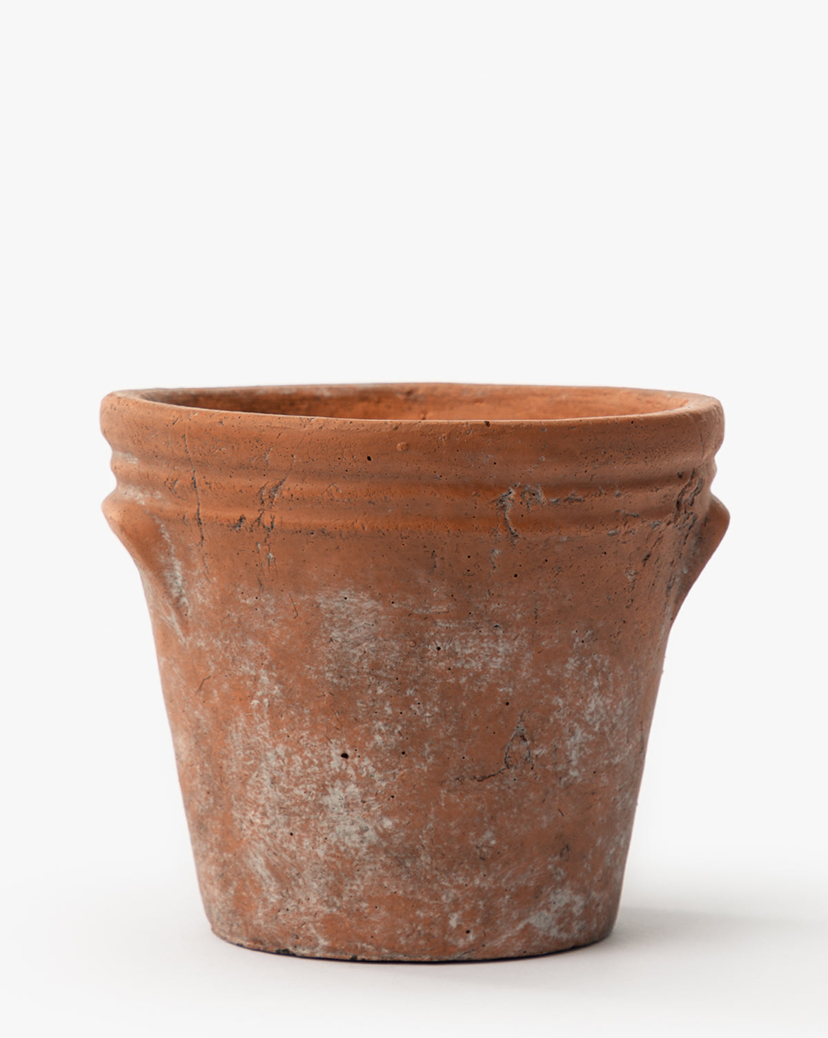 Cordelia Planter