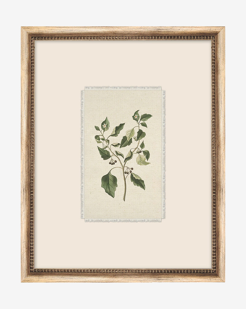 Delicate Floral lll
