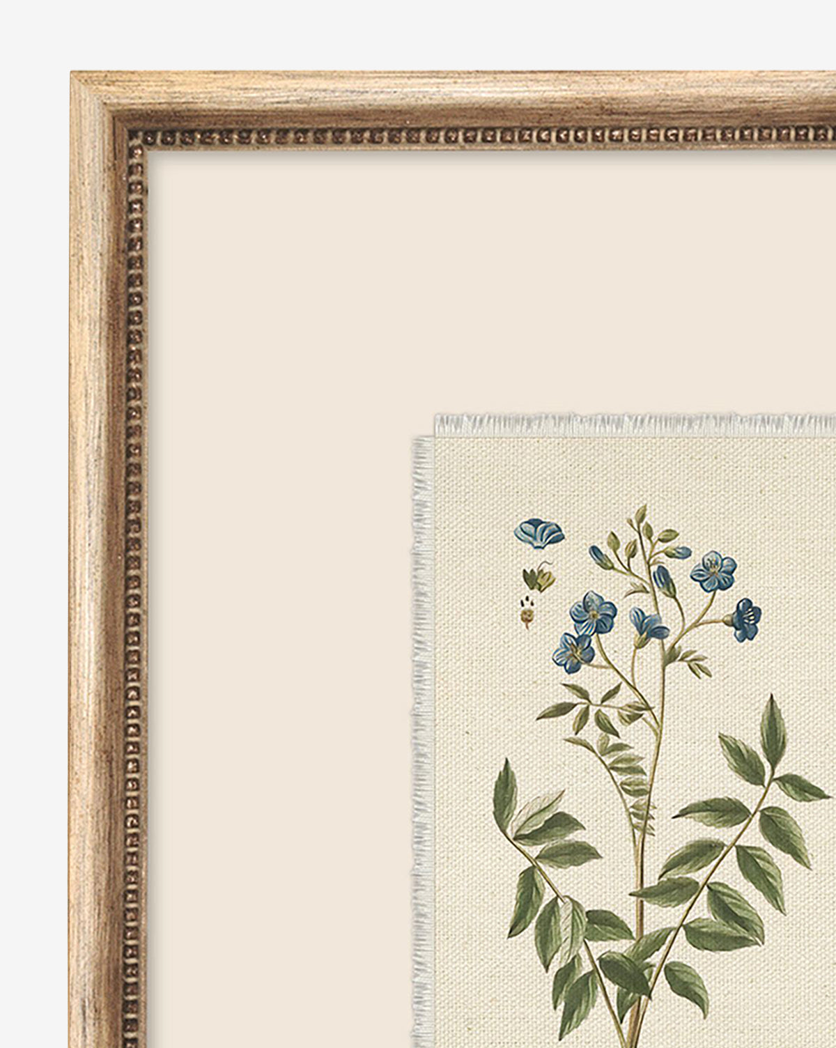 Delicate Floral l