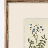 Delicate Floral l