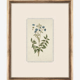 Delicate Floral l