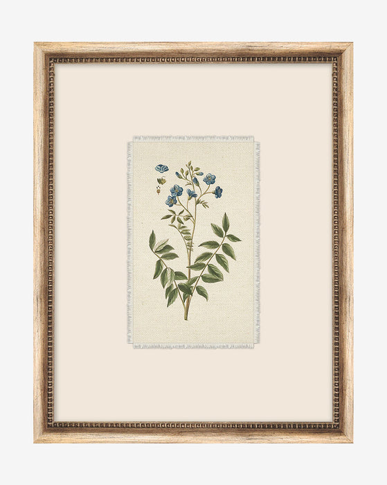Delicate Floral l
