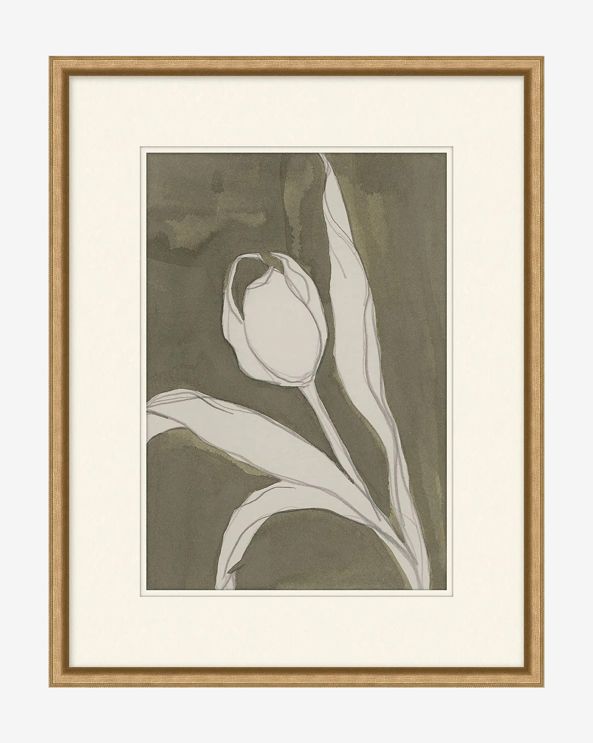 Delicate Tulip I by Rebekah Webb