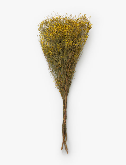 Dried Natural Pearl Grass Bunch