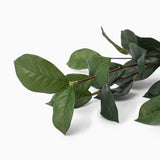 Faux Gardenia Leaf Stem