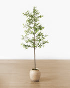 Faux Japanese Quince Tree
