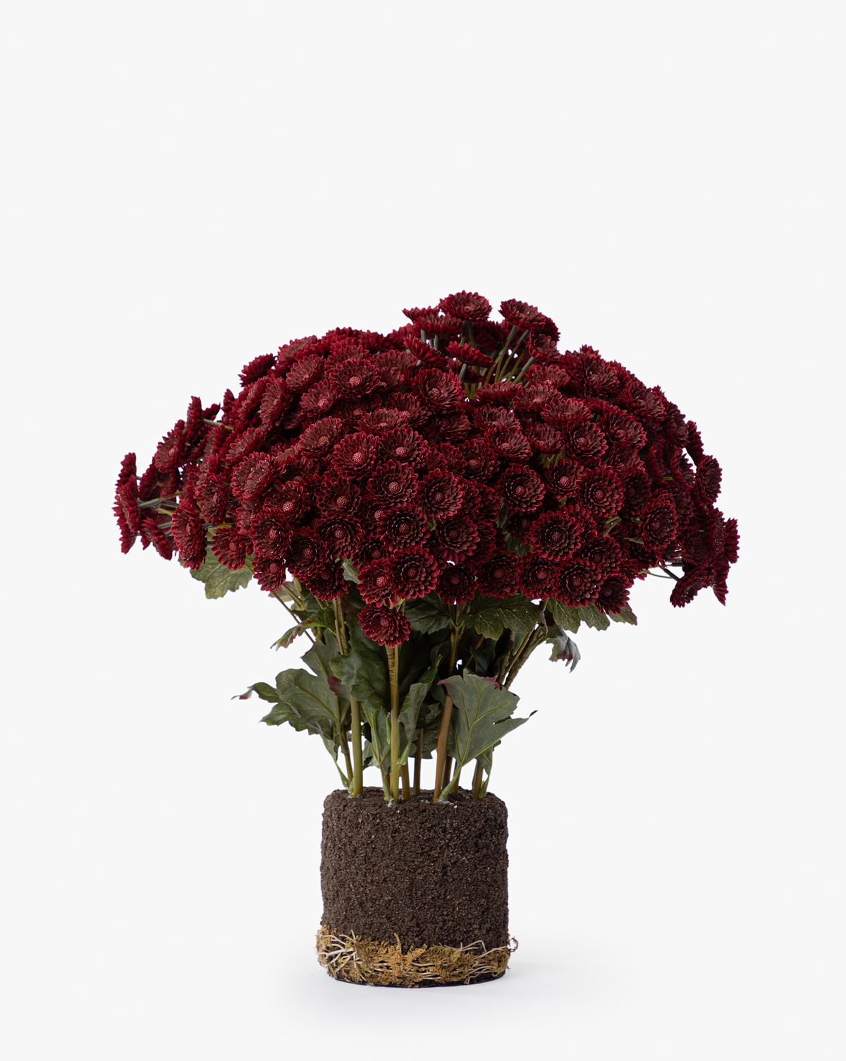 Faux Mum Drop-In