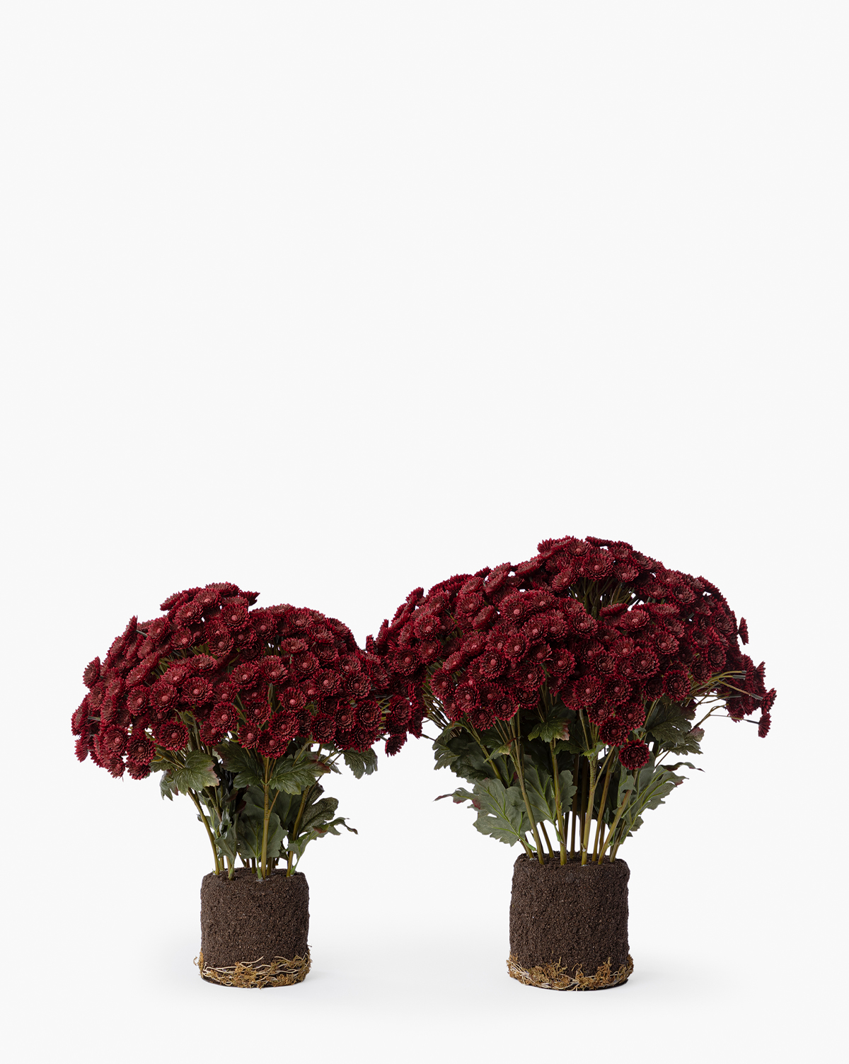 Faux Mum Drop-In