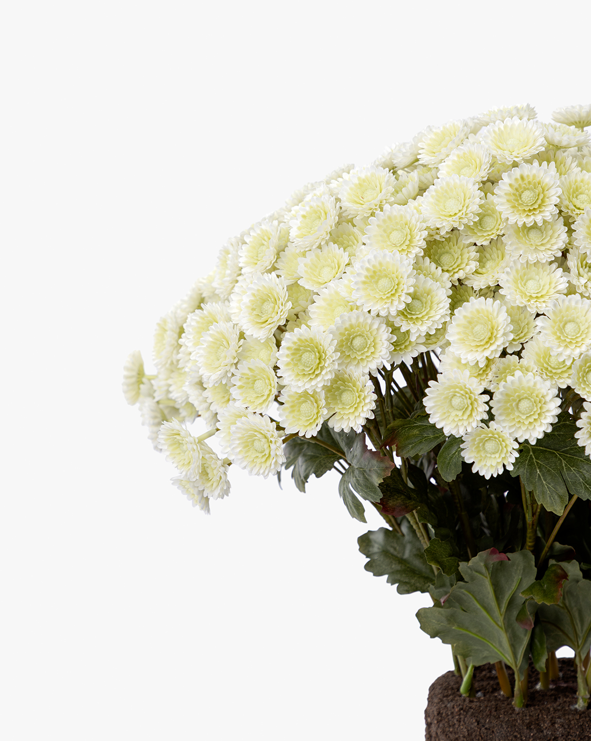 Faux Mum Drop-In