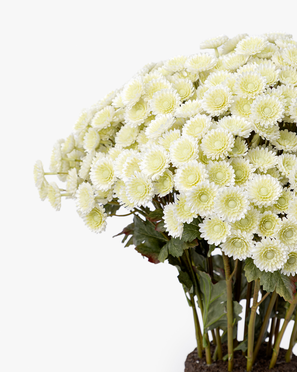 Faux Mum Drop-In