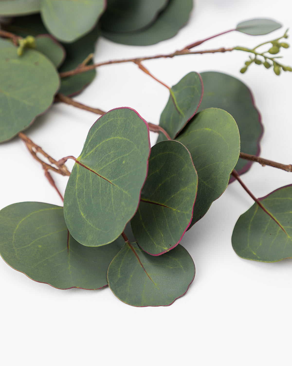 Faux Seeded Dollar Eucalyptus Stem