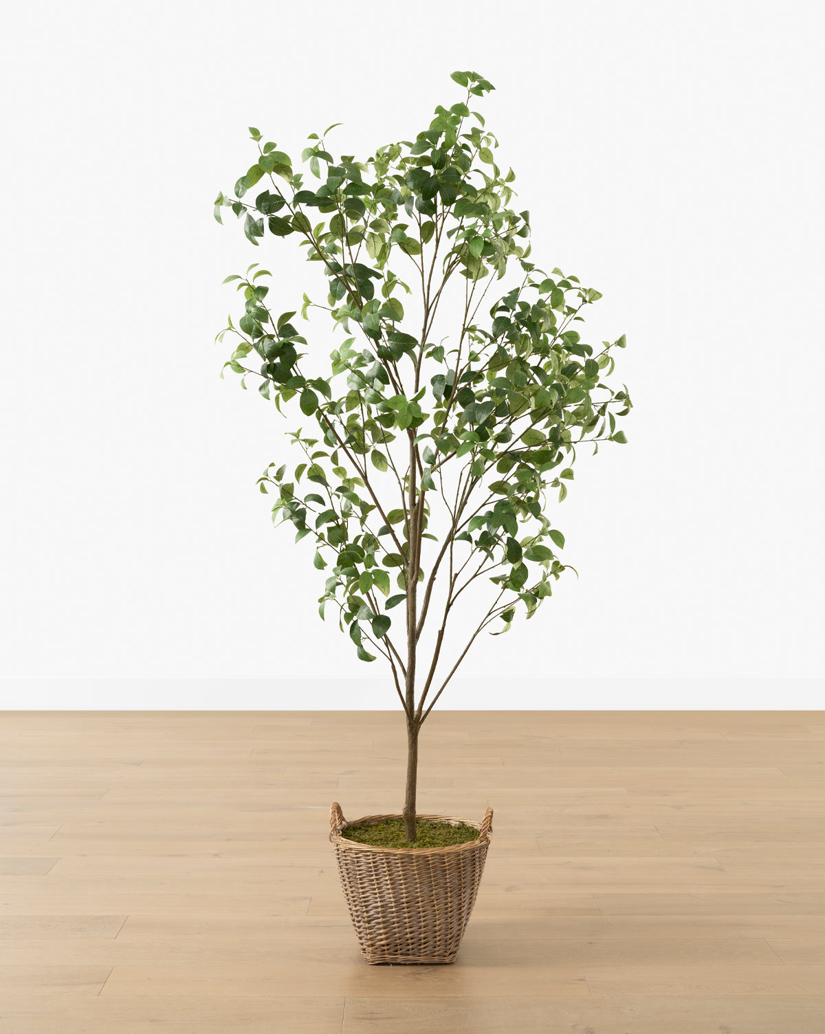 Faux Tangerine Tree